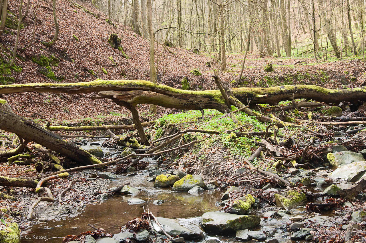 Blick in den Ahnegraben – 2