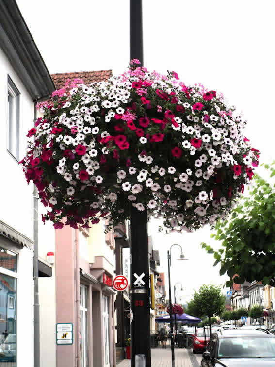 Vorschaubild Blumenschmuck