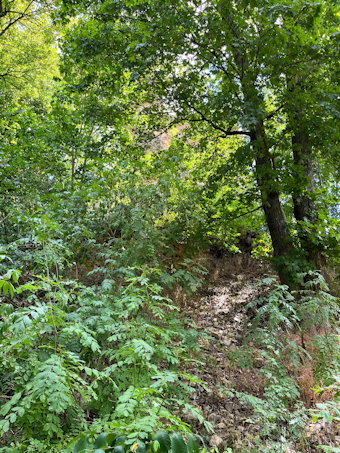 Vorschaubild Burgruine Schartenberg 1