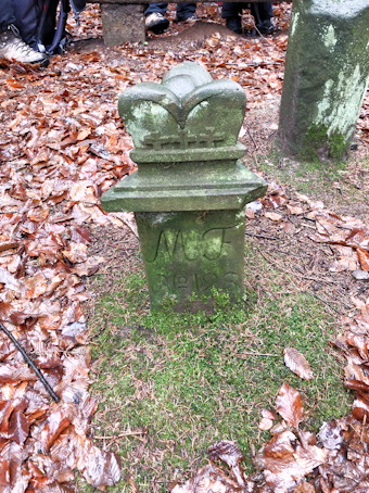 Vorschaubild Dreikoenigsstein