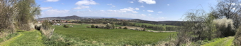 Blick vom Bühl in Richtung NO