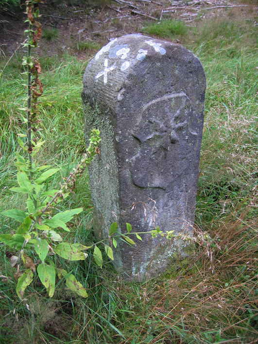 Vorschaubild Waldeck  Wappen